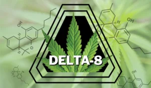 delta-8 THC products