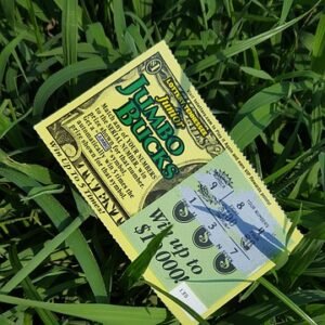 lotto, ticket, guess, numbers, win, money, failure, green money, green numbers, green winner, lotto, lotto, lotto, lotto, lotto, ticket, guess