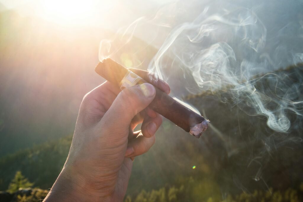 A close-up of a hand holding a smoking cigar against a scenic outdoor backdrop in sunlight.